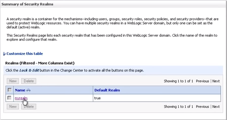 Picture of the list of available security realms