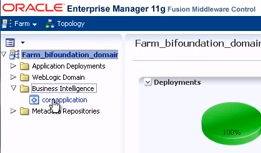 Accessing the BI coreapplication settings