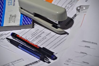 What is the Best Organization Chart for Performance Management?