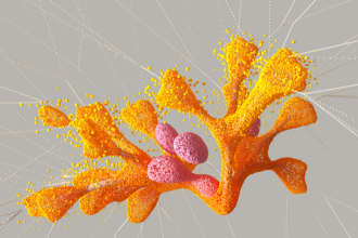 Modeling Visualization Macros