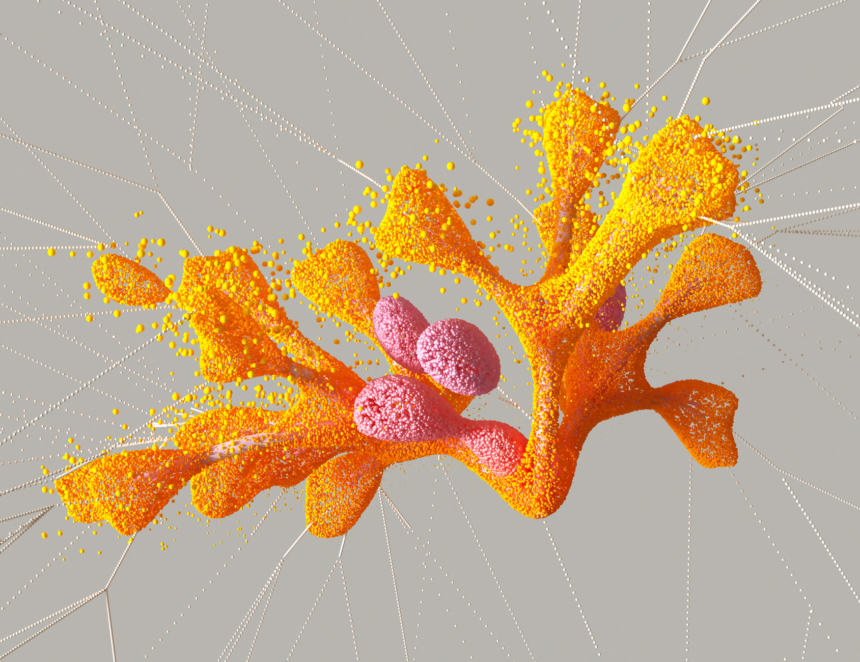 Modeling Visualization Macros