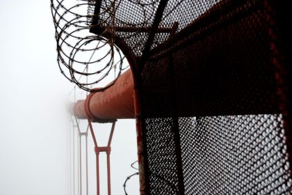 Another “anti-spam litigant” Goes Down in California: Domain Use Challenged