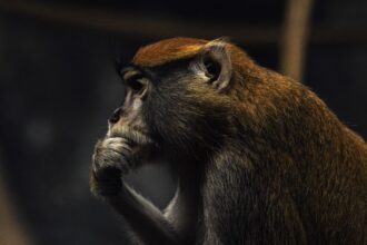 Building the Business Case for Behavioral Targeting