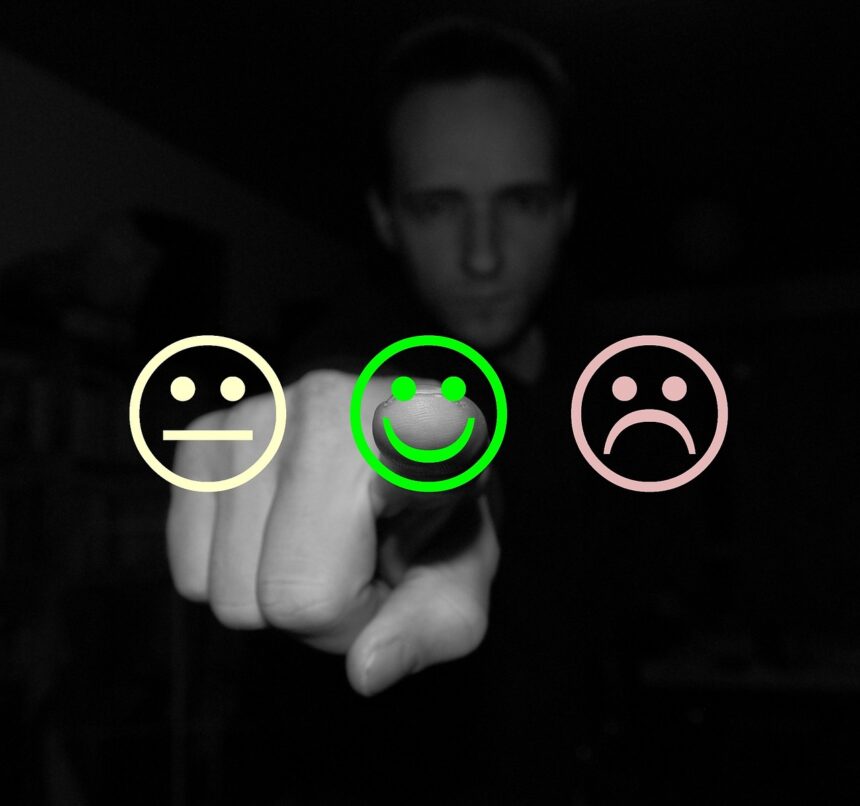 DQ-View: From Data to Decision