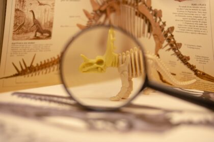 Evolution of Thinking about Cloud ERP Software