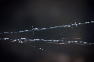 What if WikiLeaks Hacked Your Company?