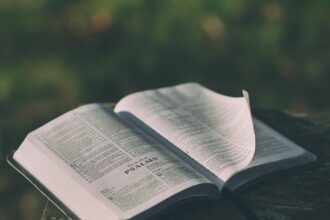 Is Social the Future of Knowledge? Help Me Find Out