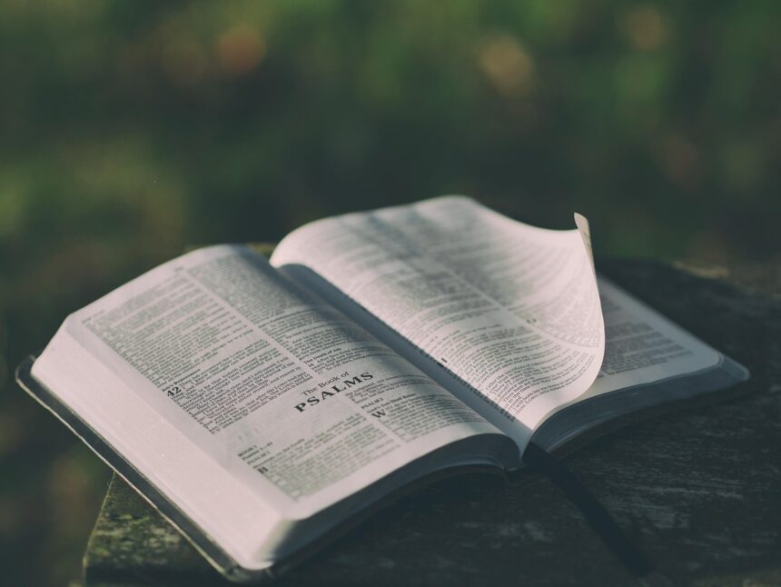 Is Social the Future of Knowledge? Help Me Find Out