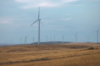 Green IT: Cloud Computing Saves Time, Costs & Energy