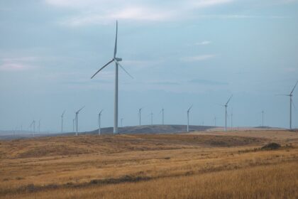 Green IT: Cloud Computing Saves Time, Costs & Energy