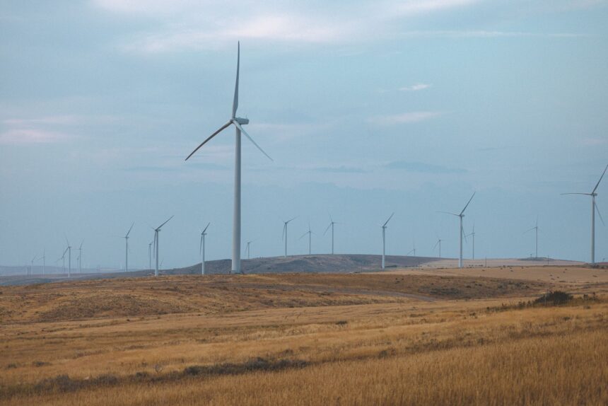 Green IT: Cloud Computing Saves Time, Costs & Energy