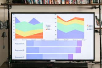 The Importance of Good Visualizations
