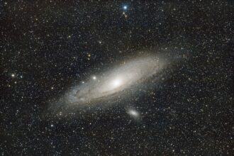 Digital Universe Study: The Big Hype