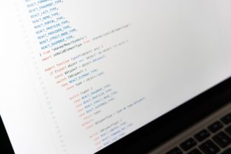 Analytics Valley: Big Data, Data Scientists and SAS Programmers