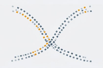 Beyond the Data Management Basics