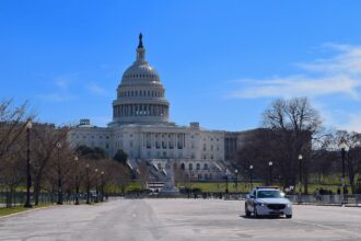 Social Government?