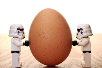 How to Achieve Equilibrium Between Business Users and IT