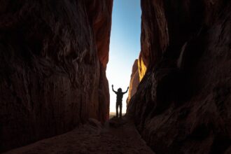 The Data Discovery: Investing in Customer Insight