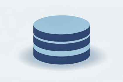 Big Data Analytics: The Four Pillars