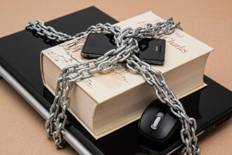 The Information Supply Chain and the Growth of Enterprise App Stores