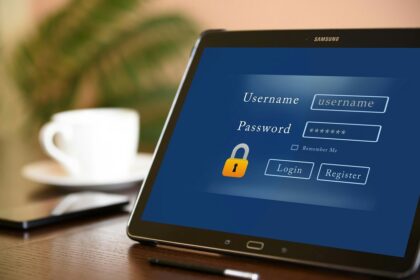 SAP's New Fraud Management Analytical Application