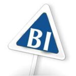 Considering Embedded BI