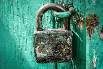 Ants, Padlocks, and Cyber Security