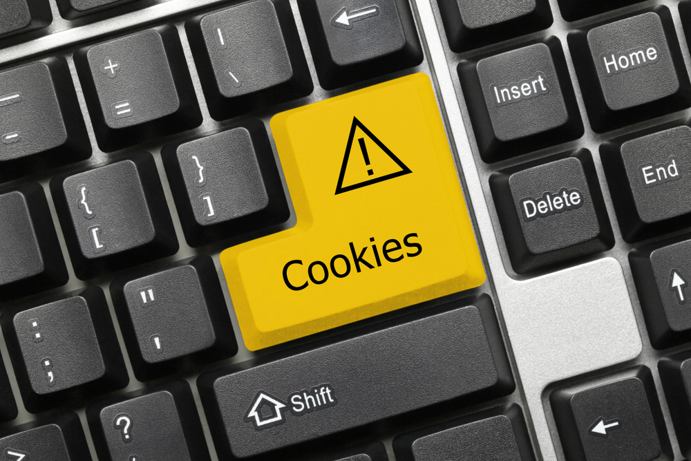 The Role of Cookies in Analytics and Privacy Issues they Raise
