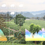 big data and weather forecasting