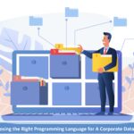 programming languages for corporate database