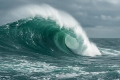 First Look – Rogue Wave