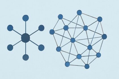 Networks and Heterarchies