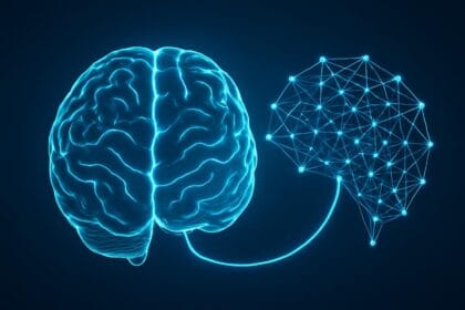 And now something completely different: brain simulation